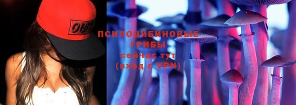 дурь Семёнов