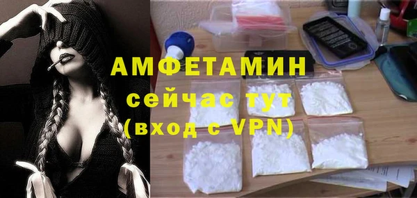 ГАЛЛЮЦИНОГЕННЫЕ ГРИБЫ Сатка
