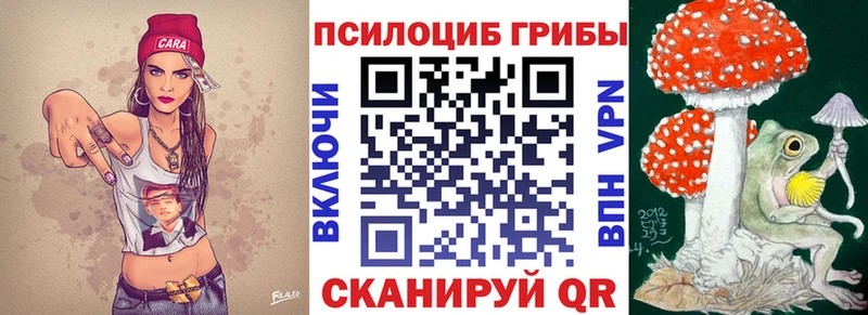 Купить где  Рассказово  Псилоцибиновые грибы мицелий 